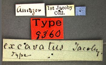 Media type: image;   Entomology 9360 Aspect: labels